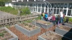 Schulgarten 5
