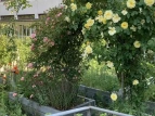 Schulgarten 07  2020