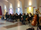 Karneval der Tiere 16